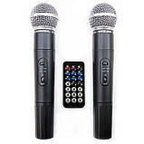 Автономна акустична система LIGA — AJ 15 DKC, фото 4