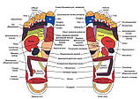 Масажер для ніг Foot Massager "Блаженство", фото 8