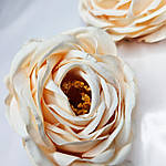 Головка троянди з тичинками блідо-персикова 9 см, фото 3