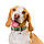 Нашийник для собак шкіряний WAUDOG Design з QR-паспортом, малюнок "Каліна", XXS, Ш 12 мм, Д 18-24 см, чорний, фото 4