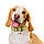 Нашийник для собак шкіряний WAUDOG Design з QR-паспортом, малюнок "Сдрібність", XXS, Ш 12 мм, Д 18-24 см, чорний, фото 4