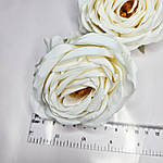 Головка троянди "Англійська з тичинками" біла  9 см, фото 5