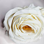 Головка троянди "Англійська з тичинками" біла  9 см, фото 2