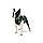 Курточка для собак WAUDOG Clothes малюнок "Дом", M40, В 63-67 см, С 39-43 см, фото 3