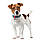 Нашийник для собак нейлоновий WAUDOG Nylon з QR-паспортом, малюнок "Парон", металева пряжка-фастекс, L, Ш, фото 3