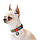 Нашийник для собак нейлоновий WAUDOG Nylon з QR-паспортом, малюнок "Мілітарі", пластиковий фастекс, M, Ш 20 мм,, фото 3
