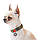 Нашийник для собак нейлоновий WAUDOG Nylon з QR-паспортом, малюнок "Мілітарі", металевий фастекс, S, Ш 15, фото 3
