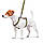 Шлея для собак анатомічна H-подібна WAUDOG Nylon з QR-паспортом, малюнок "Мілітарі", пластиковий фастекс,, фото 3