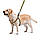 Шлея для собак WAUDOG Nylon з QR-паспортом, малюнок "Мілітарі", пластиковий фастекс, S, Ш 15 мм, А=В 40-55 см, фото 3