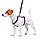 Шлея для собак анатомічна H-подібна WAUDOG Nylon з QR-паспортом, малюнок "Інді", пластиковий фастекс, L, Ш, фото 3
