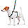 Шлея для собак анатомічна H-подібна WAUDOG Nylon з QR-паспортом, малюнок "ВАУ", пластиковий фастекс, М, Ш, фото 3