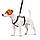 Шлея для собак анатомічна H-подібна WAUDOG Nylon з QR-паспортом, малюнок "NASA", пластиковий фастекс, L, Ш, фото 3