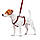 Шлея для собак анатомічна H-подібна WAUDOG Nylon з QR-паспортом, малюнок "Шотландка червона" пластиковий, фото 3