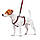 Шлея для собак анатомічна H-подібна WAUDOG Nylon з QR-паспортом, малюнок "Графіті", пластиковий фастекс,, фото 3