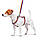 Шлея для собак анатомічна H-подібна WAUDOG Nylon з QR-паспортом, малюнок "Линія 1", пластиковий фастекс,, фото 3