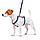Шлея для собак анатомічна H-подібна WAUDOG Nylon з QR-паспортом, малюнок "Літо", пластиковий фастекс, S, Ш, фото 3