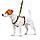 Шлея для собак анатомічна H-подібна WAUDOG Nylon з QR-паспортом, малюнок "Вітраж", пластиковий фастекс, S,, фото 3