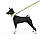 Повідець для собак нейлоновий WAUDOG Nylon, малюнок "Рік і Морті 1", M, Ш 20 мм, Д 122 см, фото 4