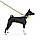 Нашийник для собак нейлоновий WAUDOG Nylon з QR-паспортом, малюнок "Рік і Морті 1", пластиковий фастекс, L, Ш, фото 3