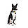 Нашийник для собак нейлоновий WAUDOG Nylon з QR-паспортом, малюнок "Рік і Морті 1", пластиковий фастекс, L, Ш, фото 6