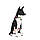 Нашийник для собак нейлоновий WAUDOG Nylon з QR-паспортом, малюнок "Рік і Морті 1", металева, фото 5