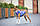 Курточка для собак WAUDOG Clothes, малюнок "Рик і Морті 1", M40, В 63-67 см, С 39-43 см, фото 3