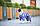 Комбінезон для собак WAUDOG Clothes, малюнок "Рик і Морті 1", XS30, В 40-43 см, С 27-30 см, фото 7