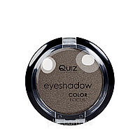 Одинарні тіні для повік Quiz Color Focus матові та перламутрові, 110 pearl свинцево-коричневий