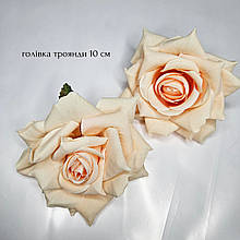 Троянда гостролисна 10 см персикова