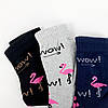 Жіночі демісезонні шкарпетки "Фламінго" в подарунковій упаковці 36-41р., 3 пари, фото 3
