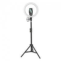 Светодиодная кольцевая LED лампа Baseus Live Stream Holder-floor Stand(12-inch LightRing)+ШтативBlack