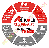 Ваговий індикатор Keli XK3118K9-WA (GSM-модуль із хмарним сховищем), фото 3