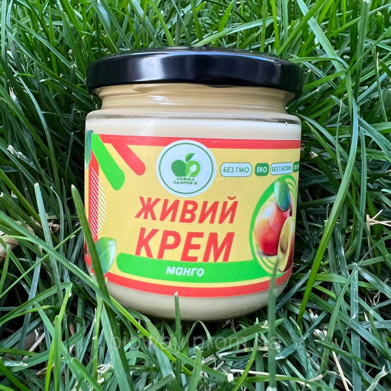 Живой крем " МАНГО" 200 г, БЕЗ CАХАРА VEGAN продукт, Пюре манго, Джем Манго, "Ложка Здоровья" - фото 1 - id-p2089135035