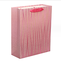 Подарункові пакети "Смужки на червоному" 18х23 см
