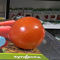 Пеконет F1 (500 нас.) насіння томату Syngenta