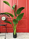 Бананове дерево штучне 150 см в горщику, фото 4