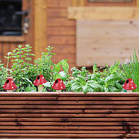 Система автоматического полива для комнатных растений Relaxdays, 4 поливочных шара, 110 мл, терракотовый, для