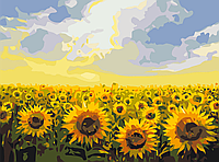 Картина за номерами Поле соняшників 30х40 см Brushme Різнобарвний (2000002764588)