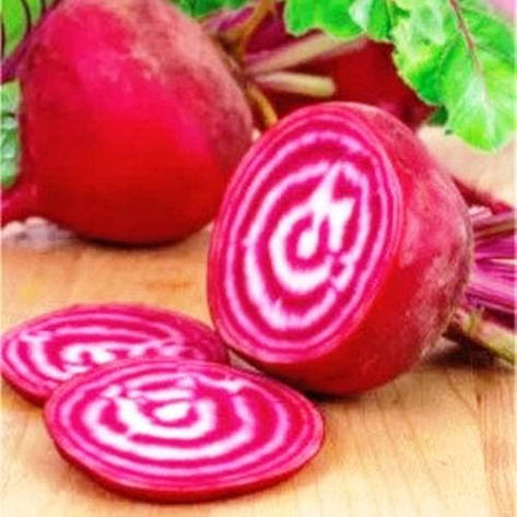 Насіння буряка Борщовий Тонда ді Кьожжа, фото 1