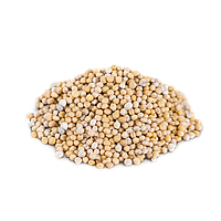 Гірчиця біла насіння, 500 г