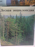 Лісова енциклопедія у двох томах, фото 3