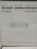 Лісова енциклопедія у двох томах, фото 5