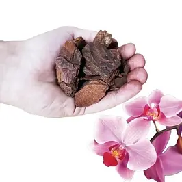 Субстрати для орхідей