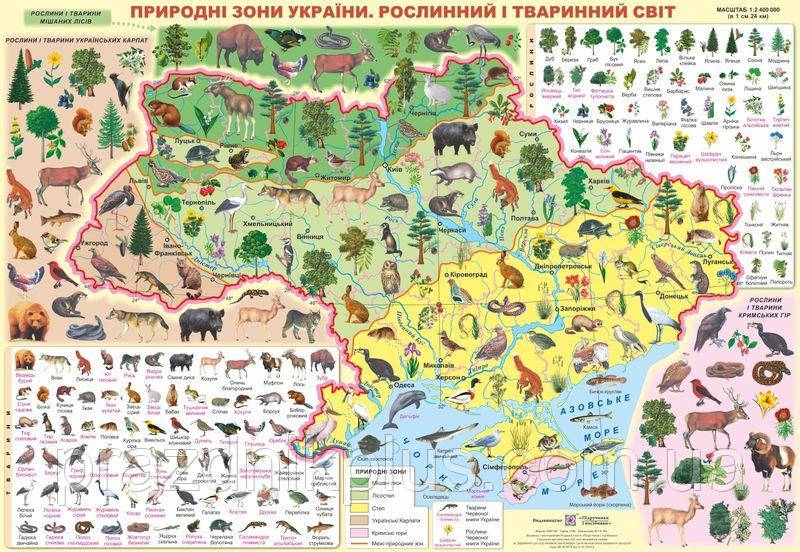 Плакат шкiльний: Природні зони України (рослинний і тваринний світ)