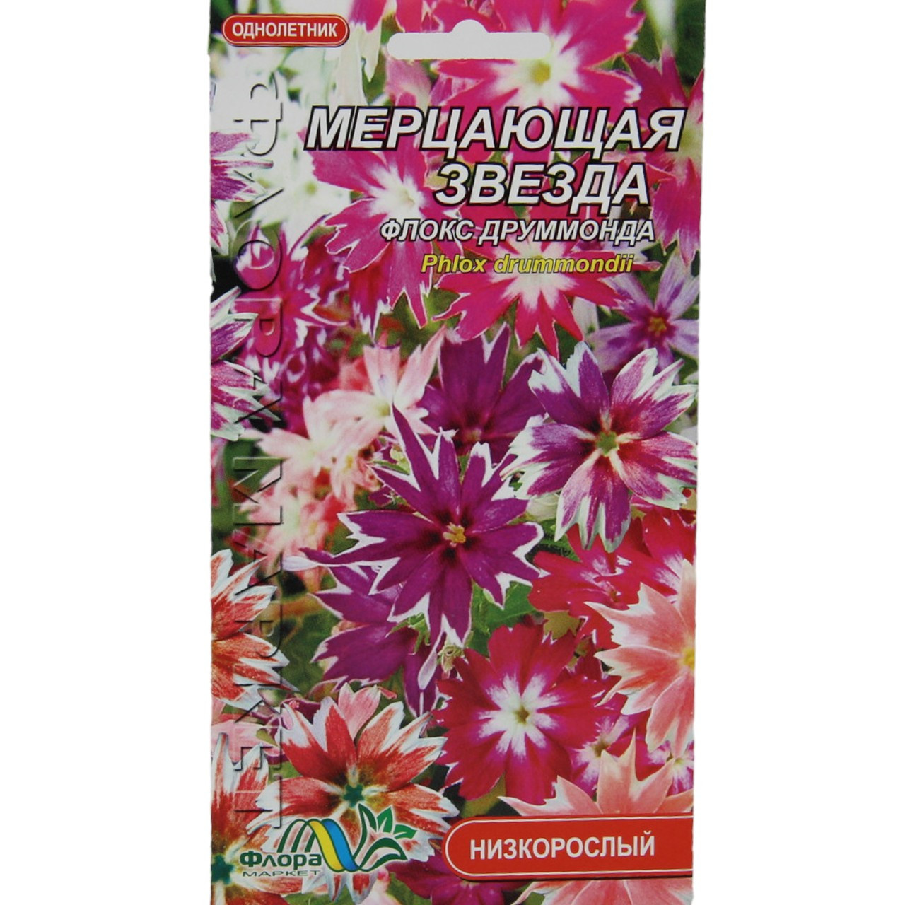 Насіння Флокс друммонда Мерехтлива зірка суміш різні кольори однорічник низькорослий 0.1 г