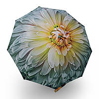 Зонт женский Toprain полуавтомат "Элегантный Цветок" #TR07034