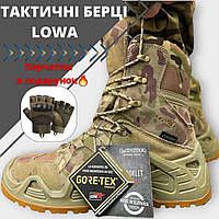 Тактические берцы Lowa Multicam