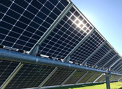 Сонячна панель Trina Solar TSM-DEG19RC.20 570W BIFACIAL