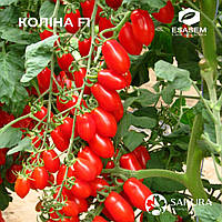Насіння томату Коліна F1/Коolina F1 250 насіння Esasem