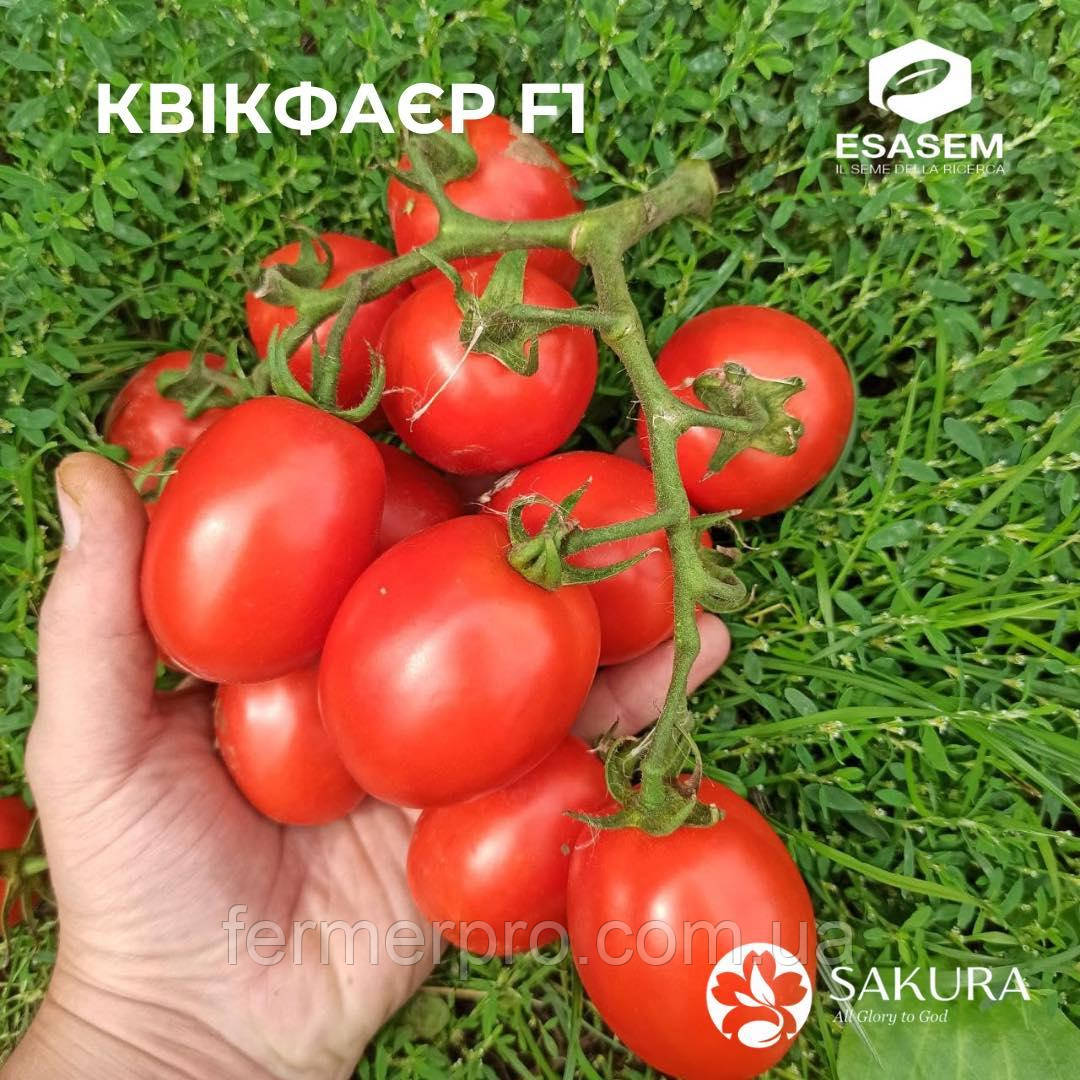 Насіння томату Квікфаєр F1/Kvikfaer F1 1000 насіння Esasem